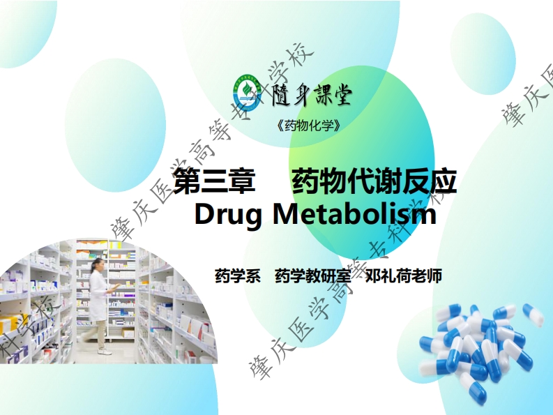 第三章-3　第Ⅰ相的生物转化